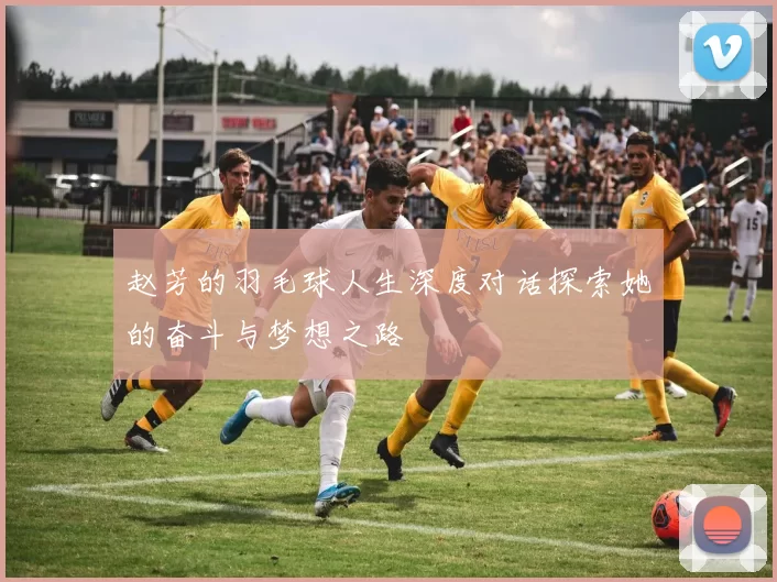 赵芳的羽毛球人生深度对话探索她的奋斗与梦想之路