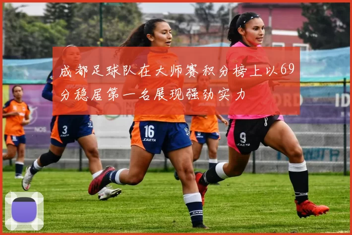 成都足球队在大师赛积分榜上以69分稳居第一名展现强劲实力
