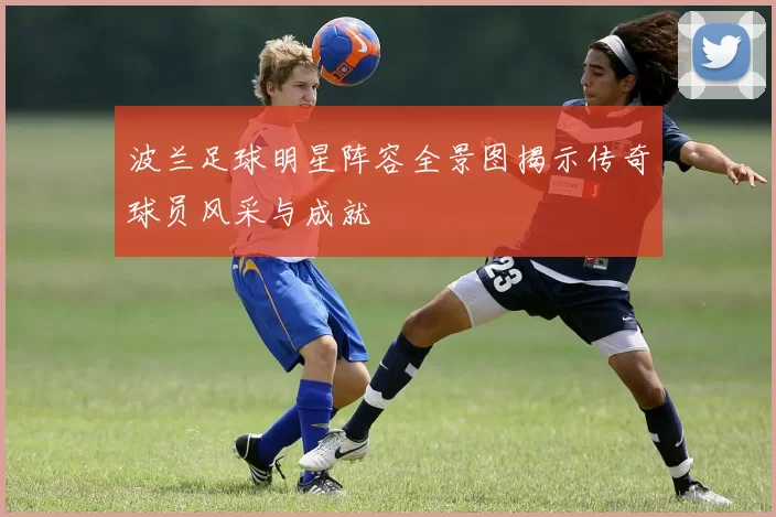 波兰足球明星阵容全景图揭示传奇球员风采与成就
