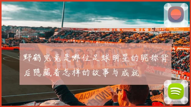 野鹤究竟是哪位足球明星的昵称背后隐藏着怎样的故事与成就