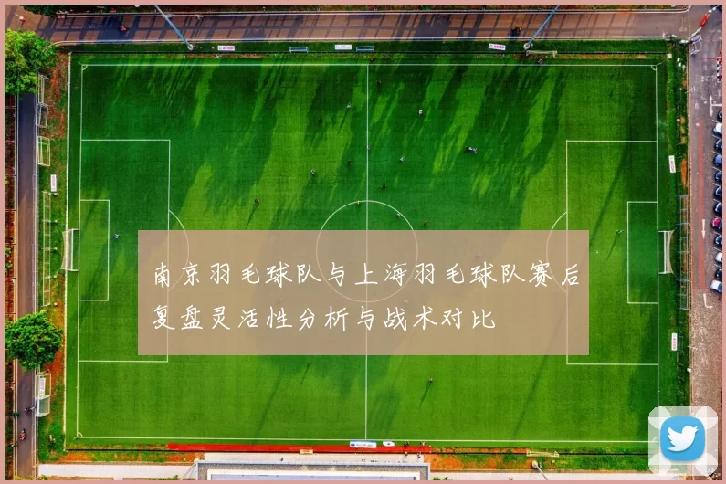 南京羽毛球队与上海羽毛球队赛后复盘灵活性分析与战术对比