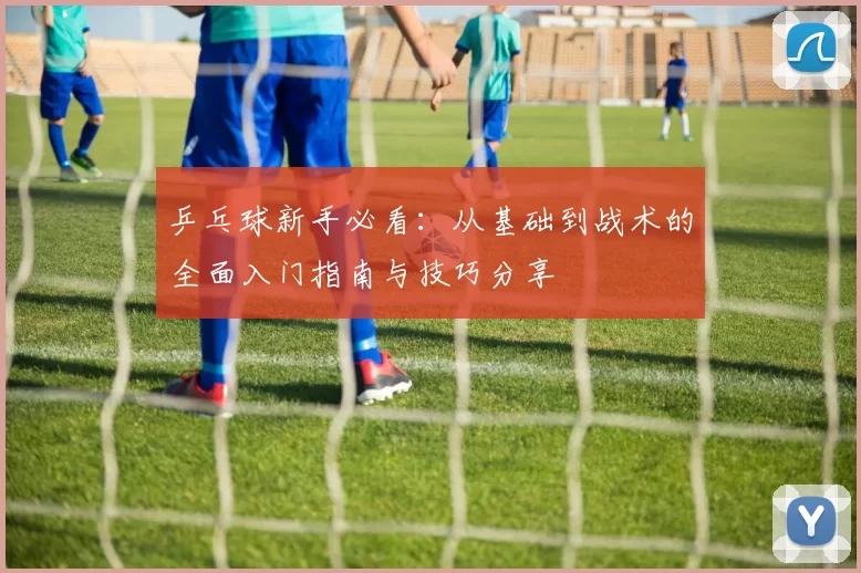 乒乓球新手必看：从基础到战术的全面入门指南与技巧分享