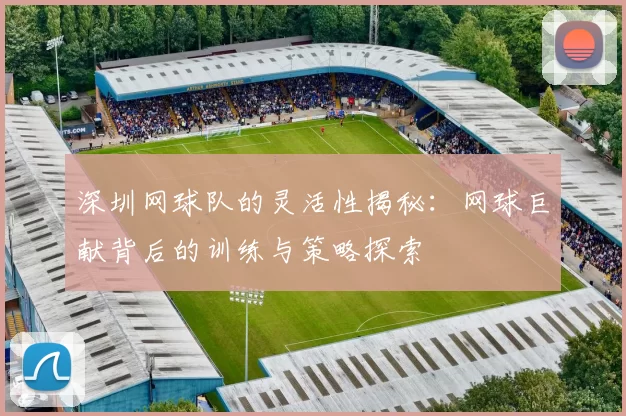 深圳网球队的灵活性揭秘：网球巨献背后的训练与策略探索