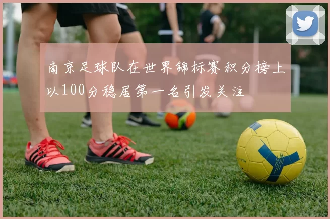 南京足球队在世界锦标赛积分榜上以100分稳居第一名引发关注