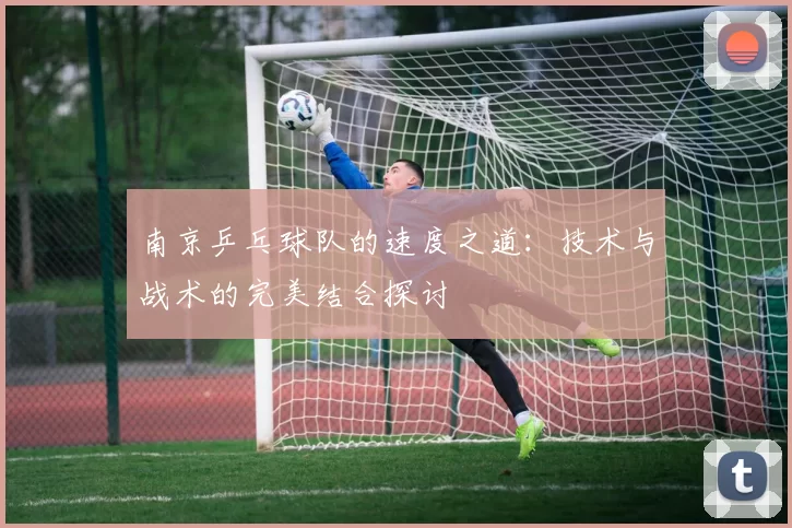 南京乒乓球队的速度之道：技术与战术的完美结合探讨