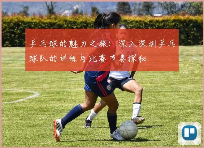 乒乓球的魅力之旅：深入深圳乒乓球队的训练与比赛节奏探秘