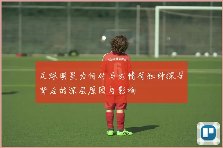 足球明星为何对马龙情有独钟探寻背后的深层原因与影响