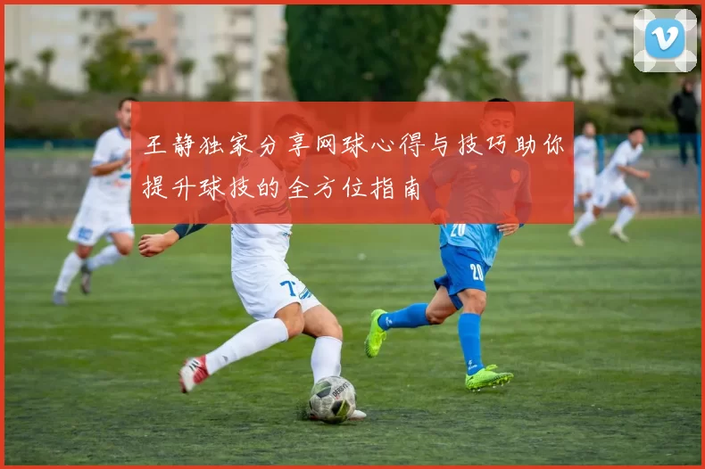 王静独家分享网球心得与技巧助你提升球技的全方位指南