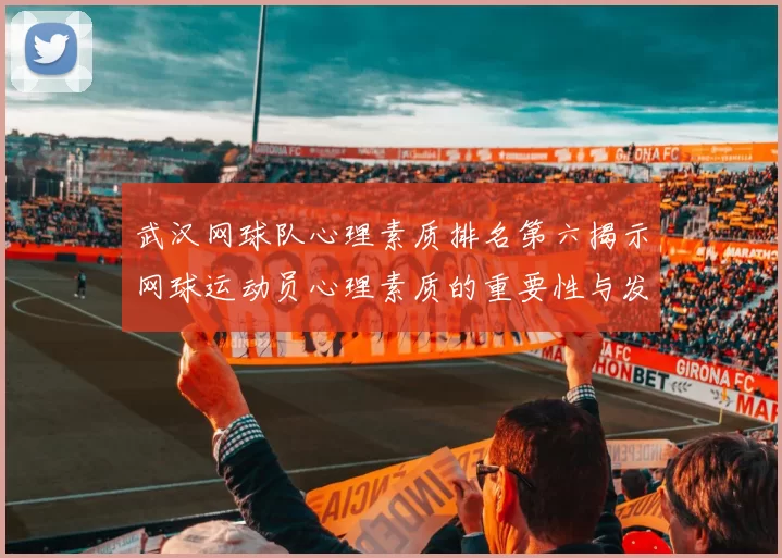 武汉网球队心理素质排名第六揭示网球运动员心理素质的重要性与发展潜力