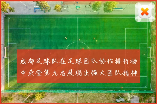 成都足球队在足球团队协作排行榜中荣登第九名展现出强大团队精神与默契配合
