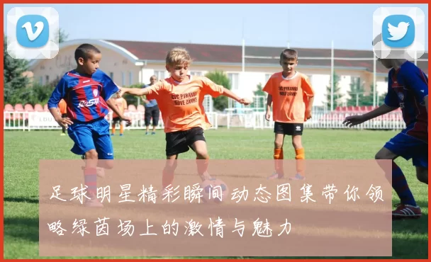 足球明星精彩瞬间动态图集带你领略绿茵场上的激情与魅力
