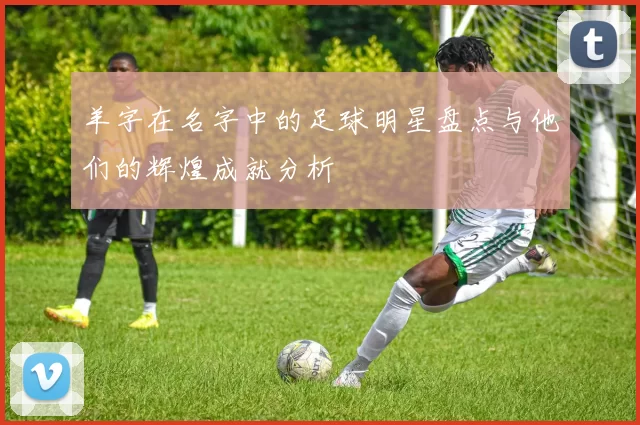羊字在名字中的足球明星盘点与他们的辉煌成就分析