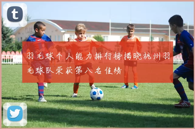 羽毛球个人能力排行榜揭晓杭州羽毛球队荣获第八名佳绩