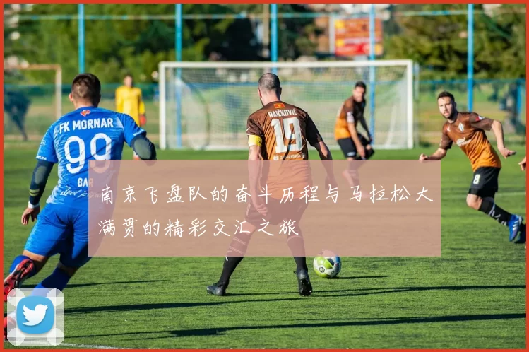 南京飞盘队的奋斗历程与马拉松大满贯的精彩交汇之旅