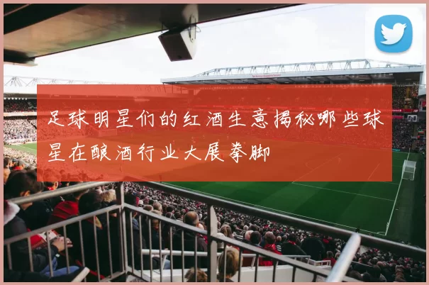 足球明星们的红酒生意揭秘哪些球星在酿酒行业大展拳脚