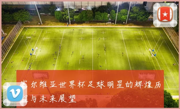 塞尔维亚世界杯足球明星的辉煌历程与未来展望