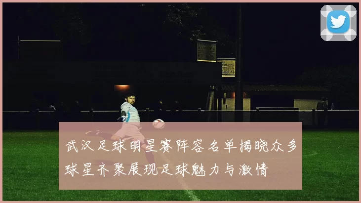 武汉足球明星赛阵容名单揭晓众多球星齐聚展现足球魅力与激情