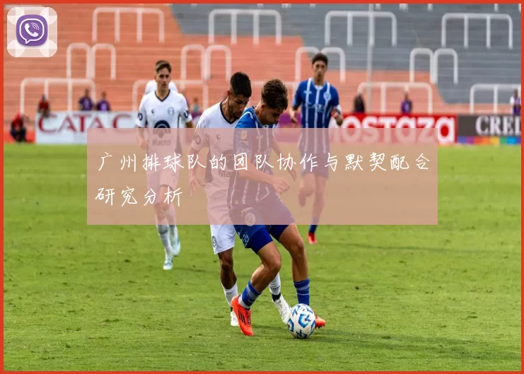 广州排球队的团队协作与默契配合研究分析