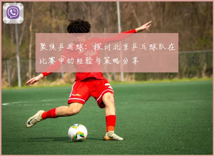 聚焦乒乓球：探讨北京乒乓球队在比赛中的经验与策略分享