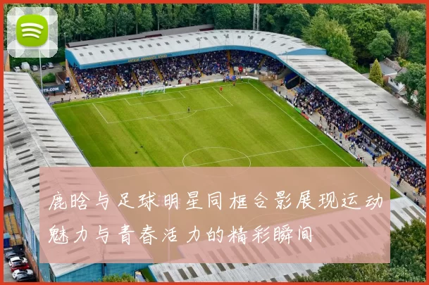 鹿晗与足球明星同框合影展现运动魅力与青春活力的精彩瞬间