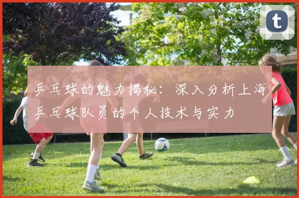 乒乓球的魅力揭秘：深入分析上海乒乓球队员的个人技术与实力